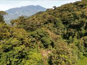 Hoy se Celebra el Día Internacional de los Bosques, Parte Fundamental de Nuestro Eco Turismo