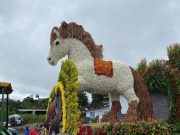 Parada de las Flores de Tierras Altas Empieza el 13 de Septiembre y Promoverá Toda la Propuesta Turística de la Región