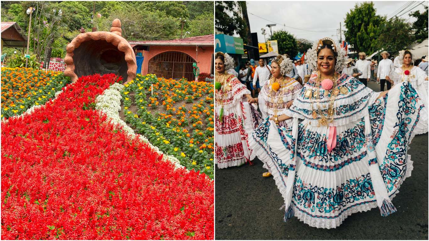 Compress_20250111_204757_7343