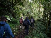 Sendero Los Quetzales en el Parque Nacional Volcán Barú Reabre sus Puertas a los Visitantes