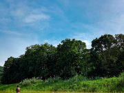 Cámara de Turismo de Panamá Solicita el Desarrollo de un Mecanismo para Medir con Precisión la Actividad Turística del País