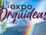 Expo Orquídeas se Realizará del 10 al 20 de Abril en Boquerón