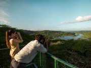 MiAmbiente Lanza el Global Big Day para el Avistamiento de Aves a Realizarse el 10 de Mayo