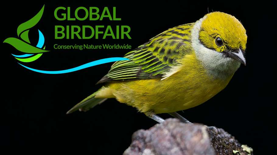 Compress_20250703_193504_4420