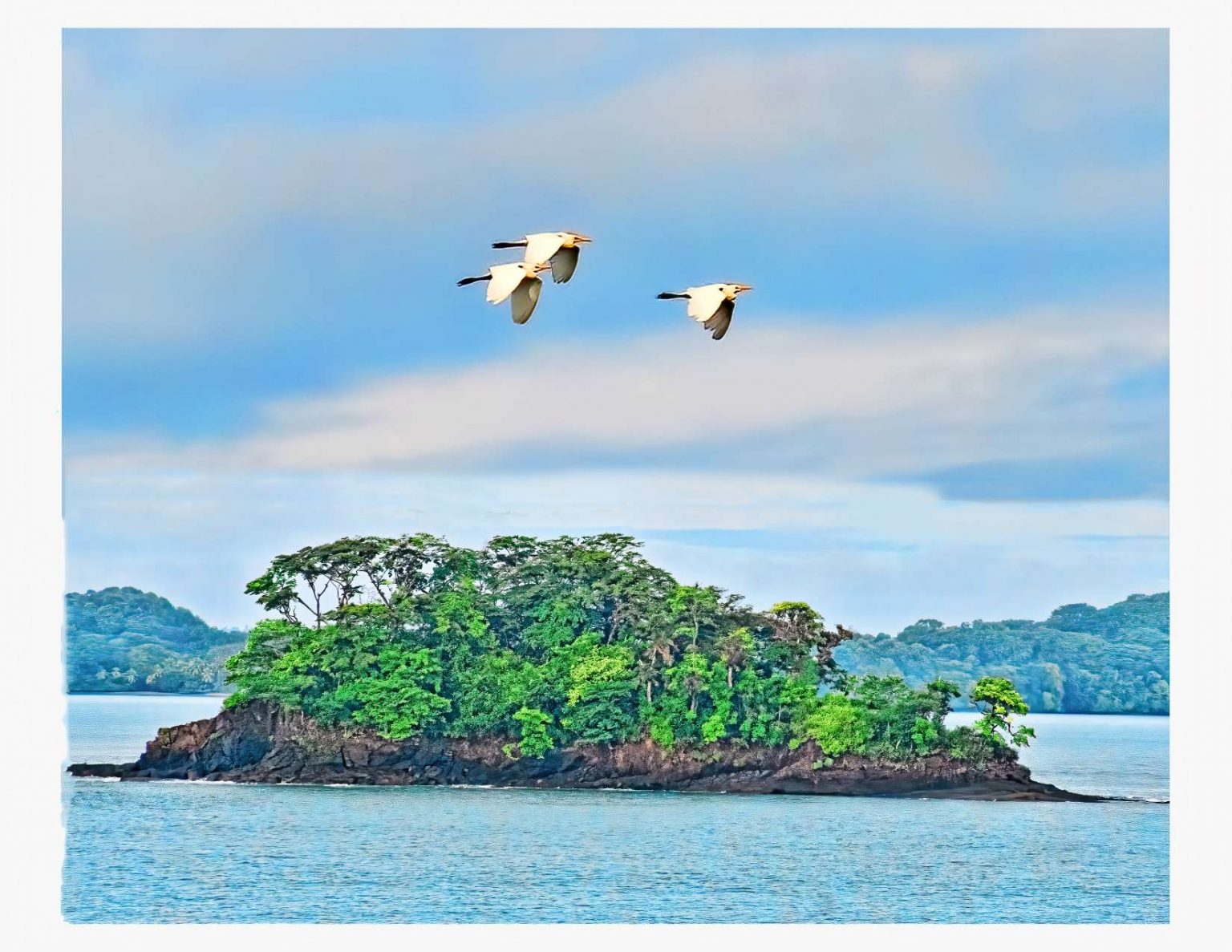 Boca Brava, uno de los Secretos Naturales Mejor Guardados del Golfo de ...