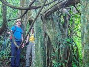 El Turismo Sostenible Crece a Grandes Pasos en Panamá