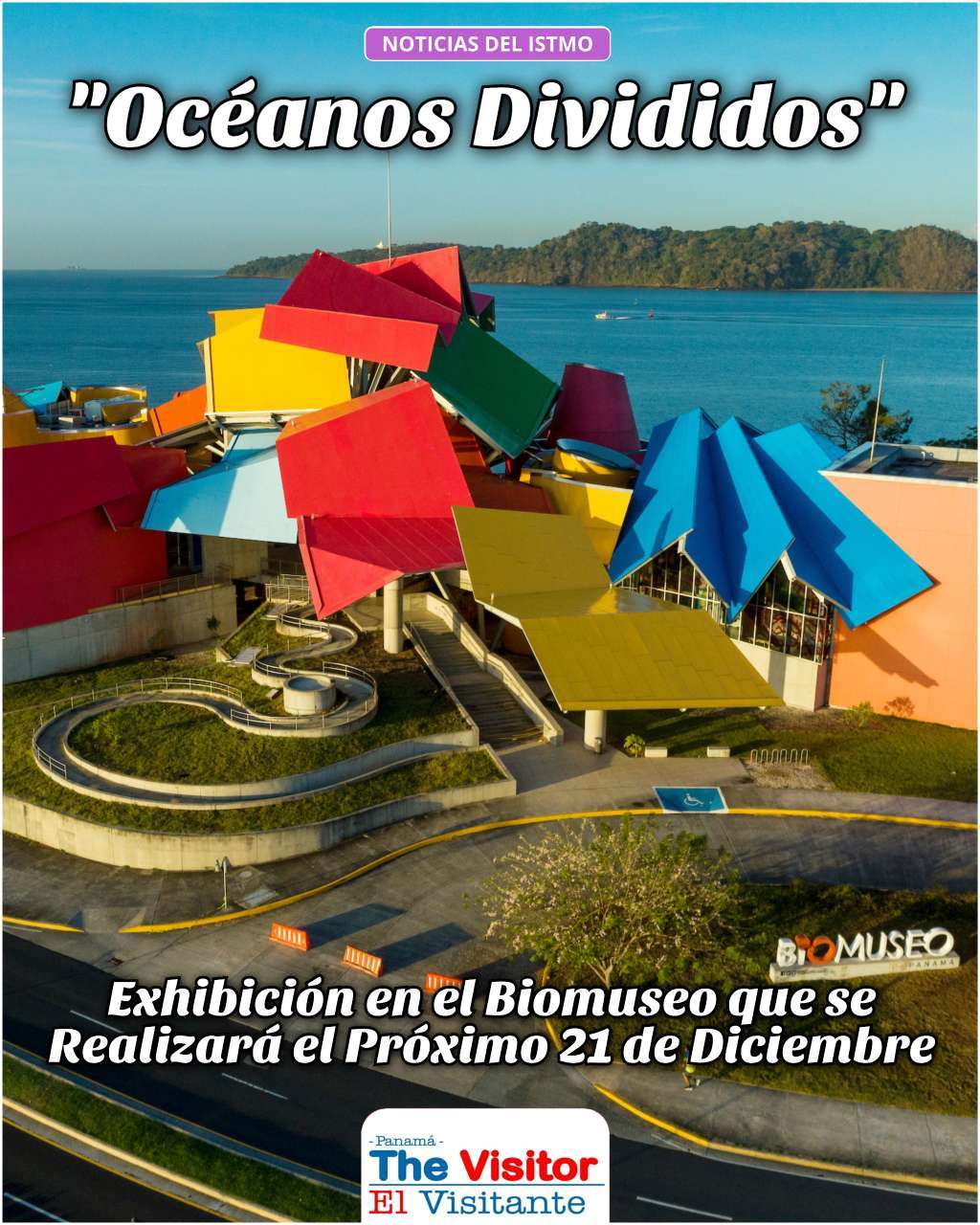 Compress_20251215_185740_0996