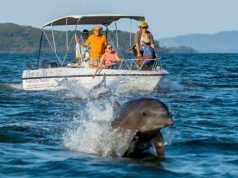 Golfo de Montijo, un Paraíso Marino por Descubrir en el Pacífico Veraguense