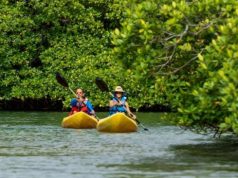 Venas Azules, una Experiencia Turística Inolvidable en el Caribe de Colón
