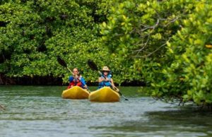 Venas Azules, una Experiencia Turística Inolvidable en el Caribe de Colón