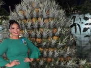 Feria de la Piña 2026 se Realizará del 16 al 19 de Abril en Las Zanguengas de La Chorrera