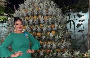 Feria de la Piña 2026 se Realizará del 16 al 19 de Abril en Las Zanguengas de La Chorrera
