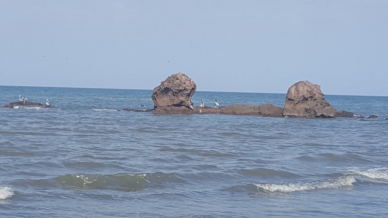 scoglio-las-comadres(1)