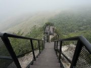 Sendero Cerro de la Cruz es Rehabilitado y Reabierto para Recibir Visitantes