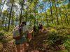 Más de 1 Millón de Turistas Visitaron Panamá Durante los Primeros Cuatro Meses de 2026