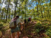Más de 1 Millón de Turistas Visitaron Panamá Durante los Primeros Cuatro Meses de 2026