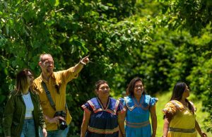 Recorrer Fincas Cafeteras de Boquete, una Experiencia Auténtica y Memorable