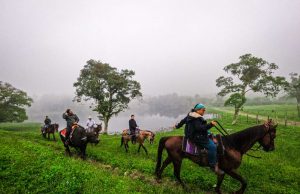 Tierras Altas: un Circuito de Experiencias entre Montañas, Naturaleza, Café e Historia