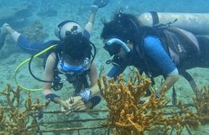 Estudiantes en Bocas del Toro se Benefician con el Programa de Becas para la Revitalización de Arrecifes