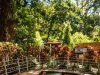El Valle de Antón, lo Tiene Todo para Disfrutar y Vivir Rodeado de Naturaleza
