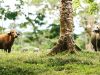 Recorrer Panamá es una Aventura que Sorprende en Cada Destino