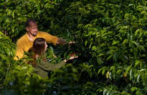 El Café, un Nuevo Destino Turístico que Expresa la Identidad del Panameño