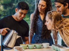 Barismo: el Nuevo Protagonista de la Experiencia Turística Cafetera en Panamá